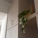 Apartment Alfreda